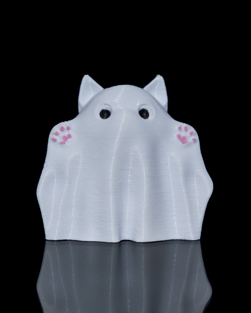 Ghost Kitty and Boo Kitty - The Phynagrin Show