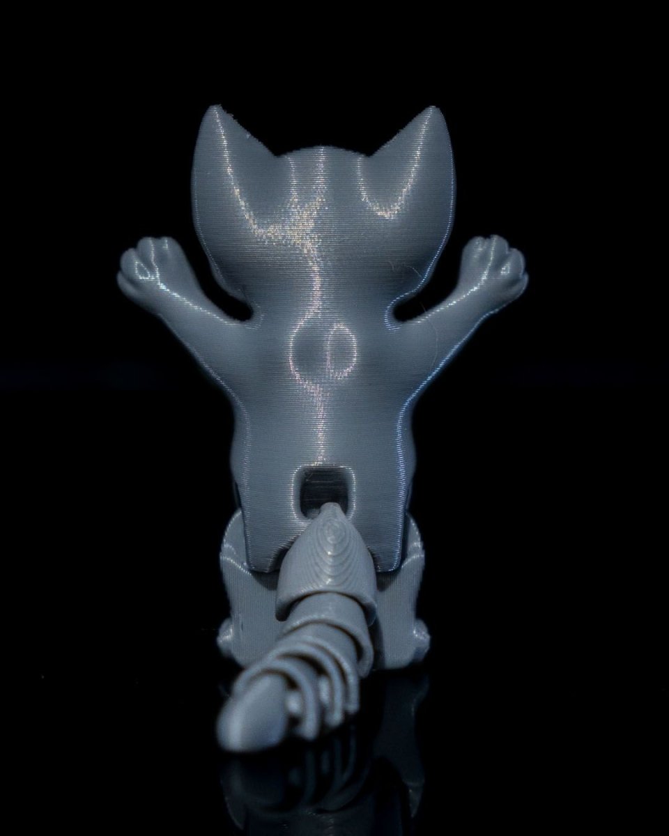 Ghost Kitty and Boo Kitty - The Phynagrin Show