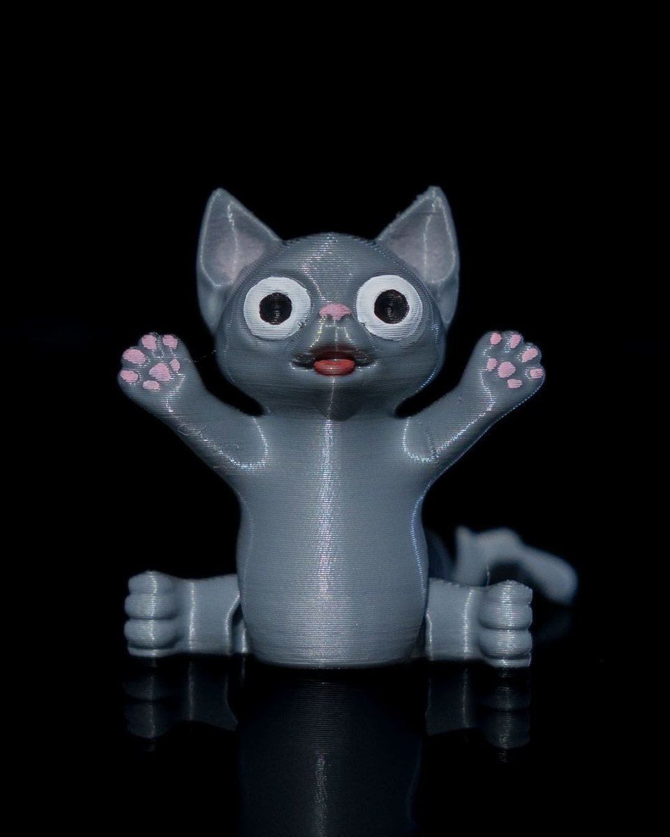 Ghost Kitty and Boo Kitty - The Phynagrin Show