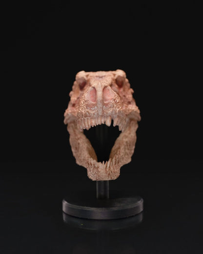 "Hand Carved" T - Rex Skull - The Phynagrin Show