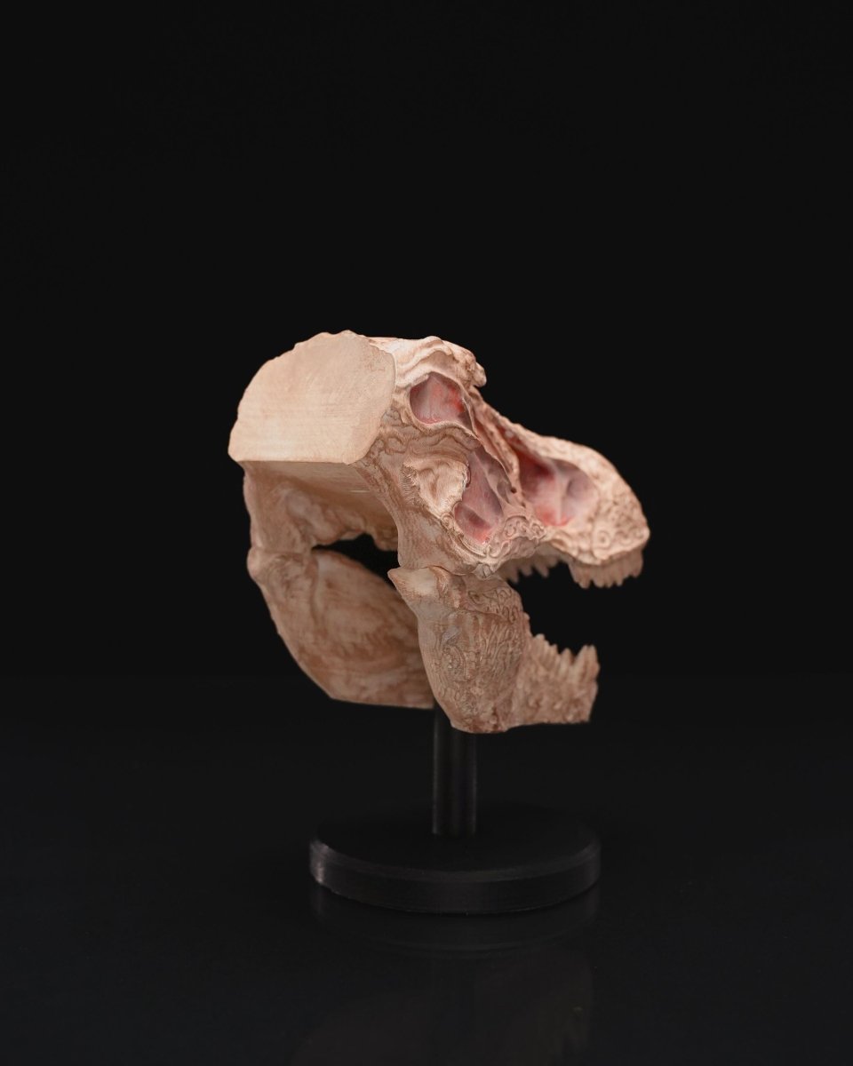 "Hand Carved" T - Rex Skull - The Phynagrin Show