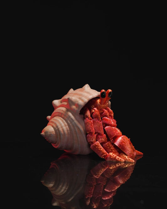 Hermes, the Articulated Hermit Crab - The Phynagrin Show