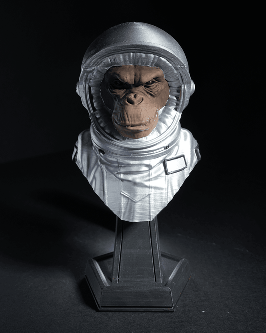 Intergalactic Monkey Crew - The Phynagrin Show
