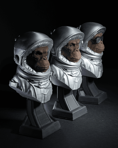 Intergalactic Monkey Crew - The Phynagrin Show
