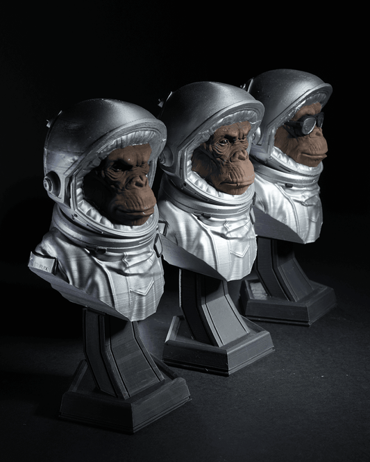 Intergalactic Monkey Crew - The Phynagrin Show