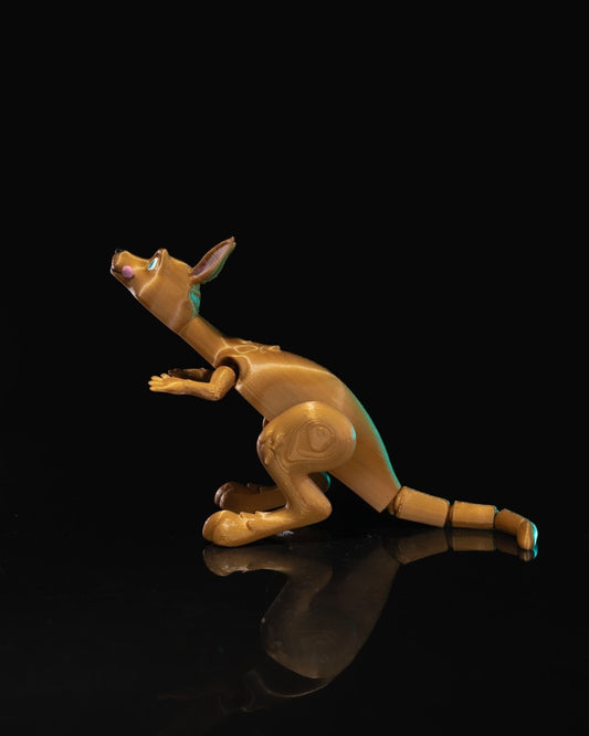 Kangaroo Jumper - The Phynagrin Show