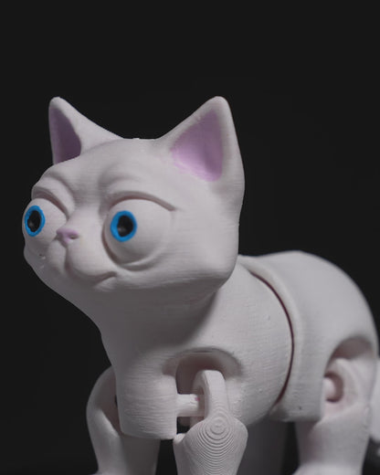 Busya The Cat