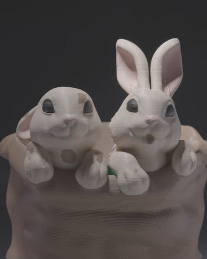 Easter Bunny Baskets