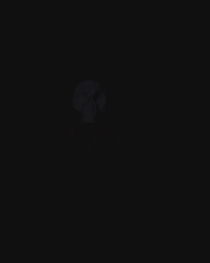 Skull Spider