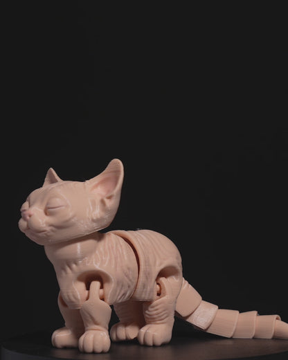 Sphynx Cat