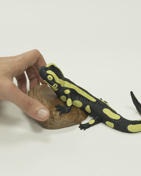 Salamander Statue