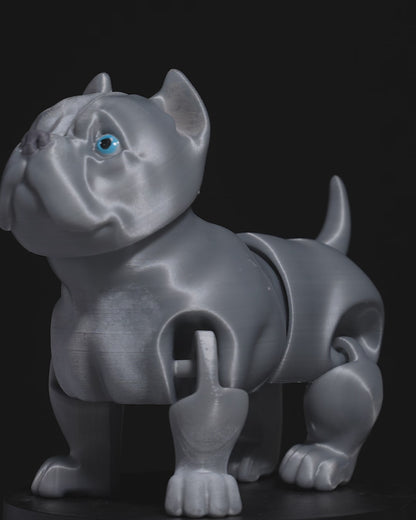 American Bully Dog