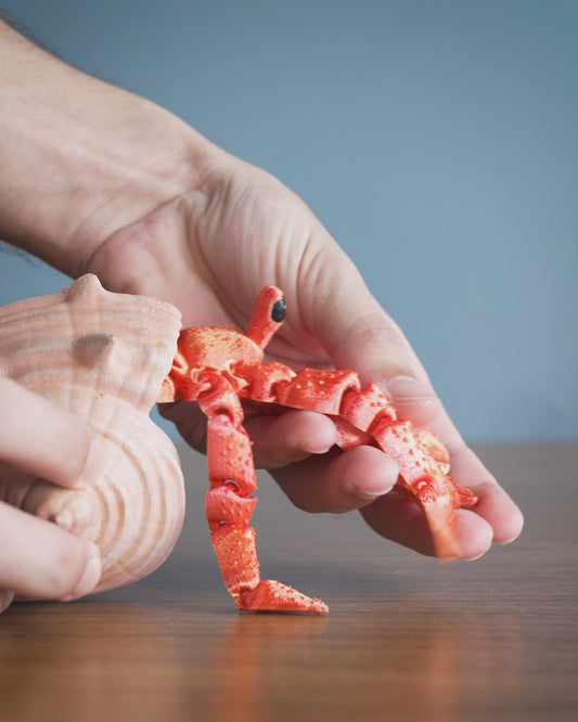 Hermes, the Articulated Hermit Crab