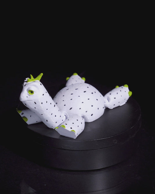 Turtle Fruit