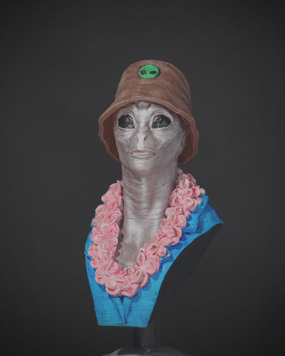 Alien Tourist Busts