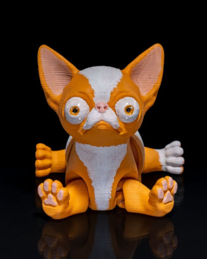 Richard the Chihuahua - The Phynagrin Show