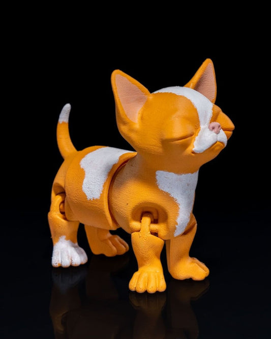 Richard the Chihuahua - The Phynagrin Show