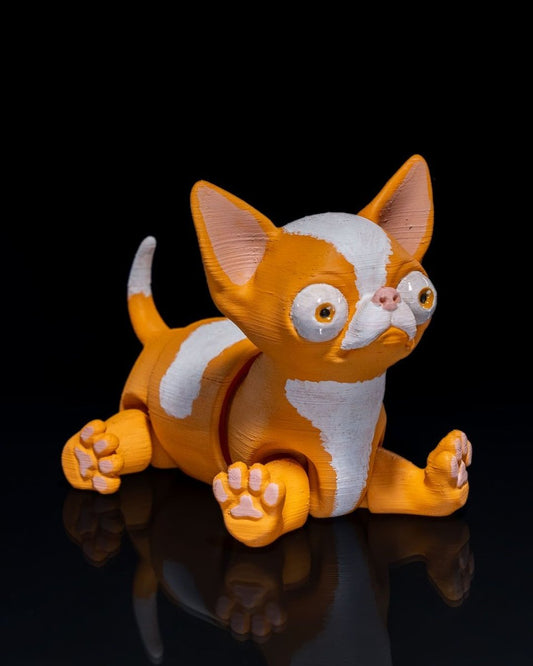 Richard the Chihuahua - The Phynagrin Show