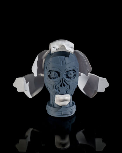 Robot Anatomy - The Phynagrin Show