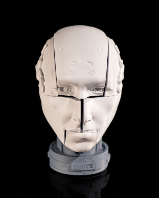 Robot Anatomy - The Phynagrin Show