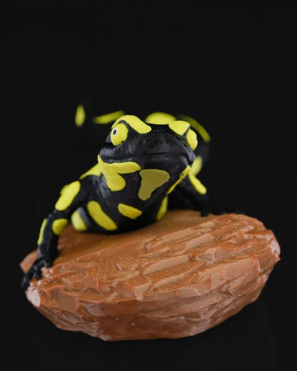 Salamander Statue - The Phynagrin Show