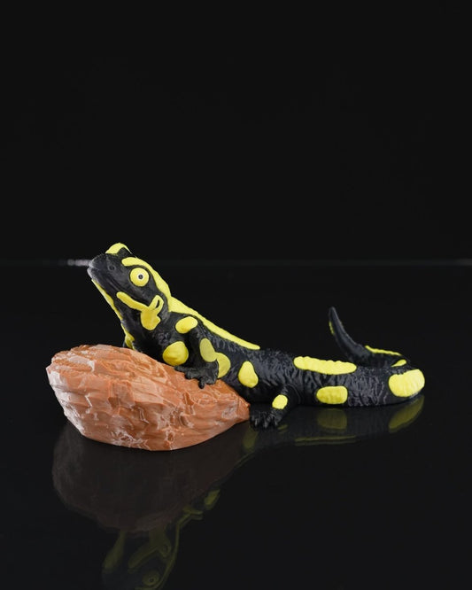 Salamander Statue - The Phynagrin Show