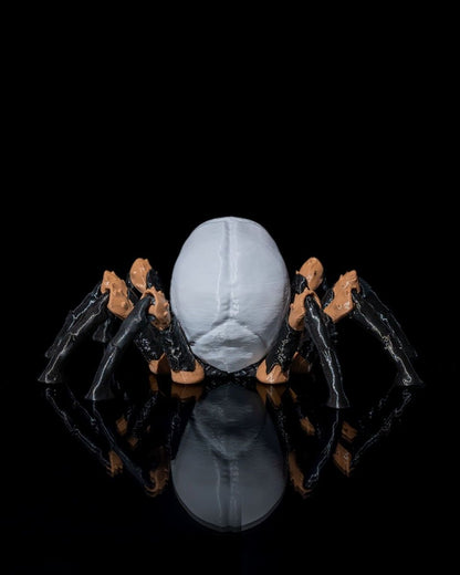 Skull Spider - The Phynagrin Show
