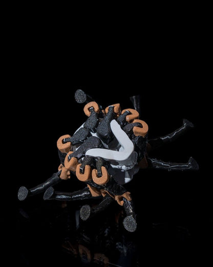 Skull Spider - The Phynagrin Show
