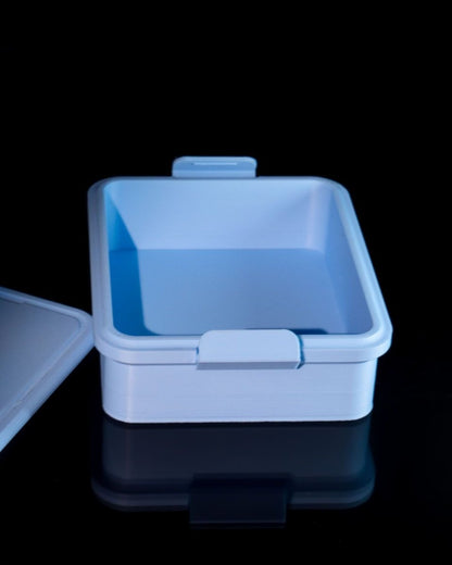 Snap on Storage Case with Clasps - The Phynagrin Show