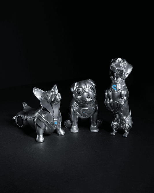 Space Pooch Trio - The Phynagrin Show
