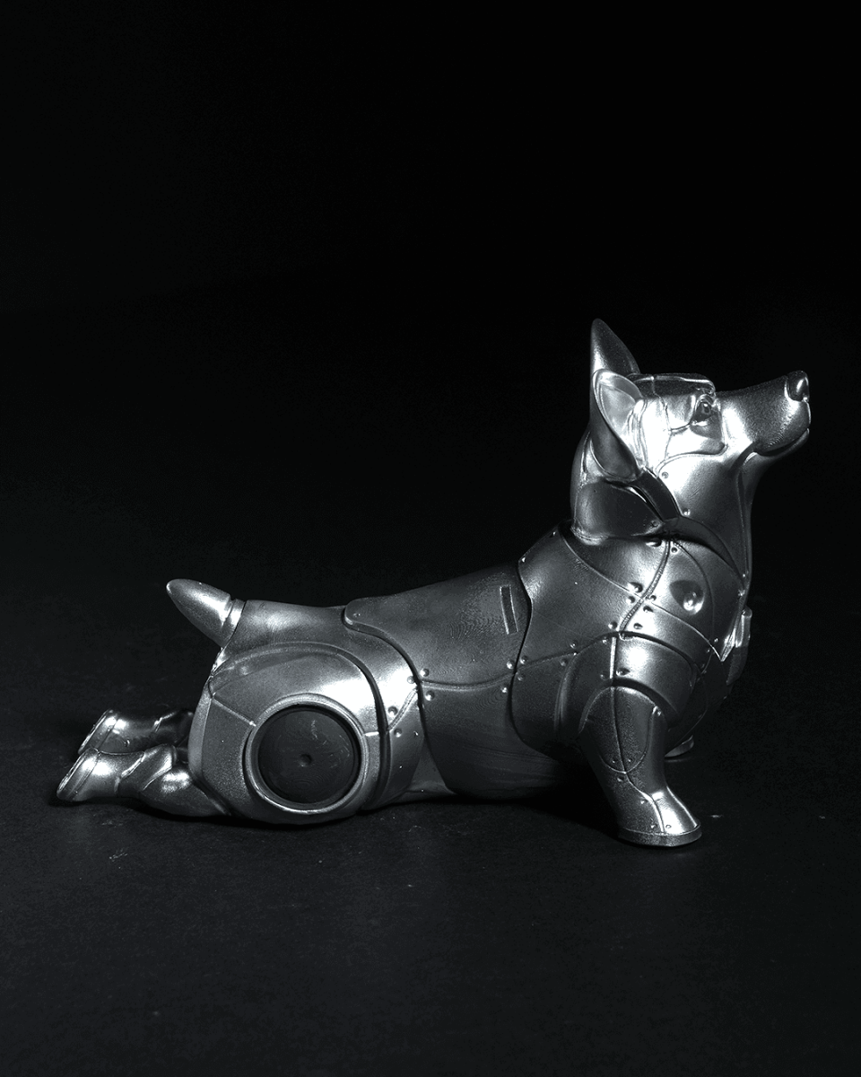 Space Pooch Trio - The Phynagrin Show