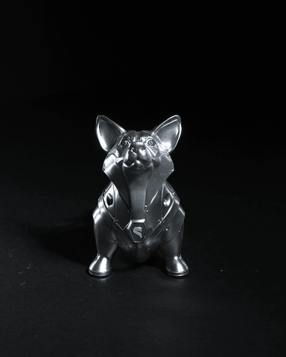 Space Pooch Trio - The Phynagrin Show