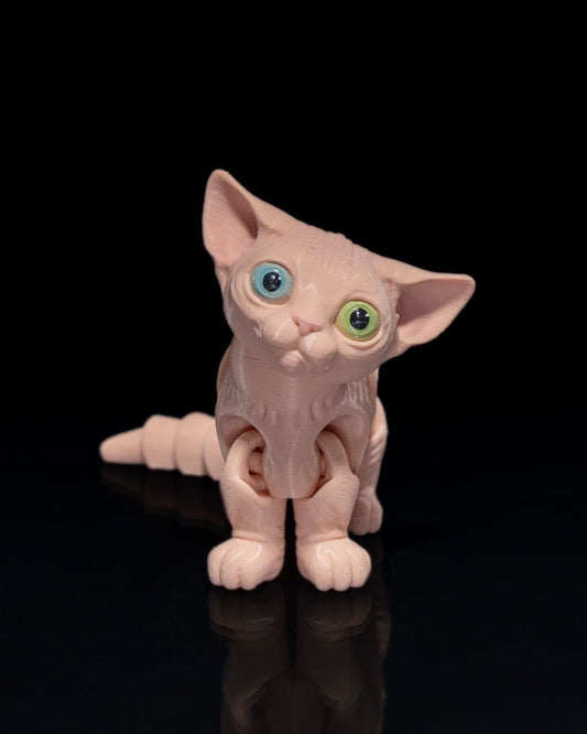 Sphynx Cat - The Phynagrin Show