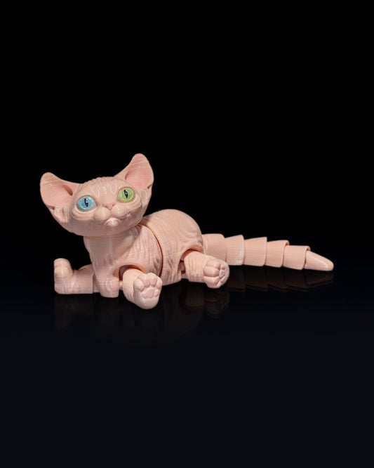 Sphynx Cat - The Phynagrin Show