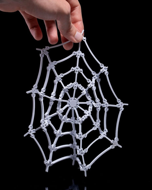 The Spider's Web - The Phynagrin Show